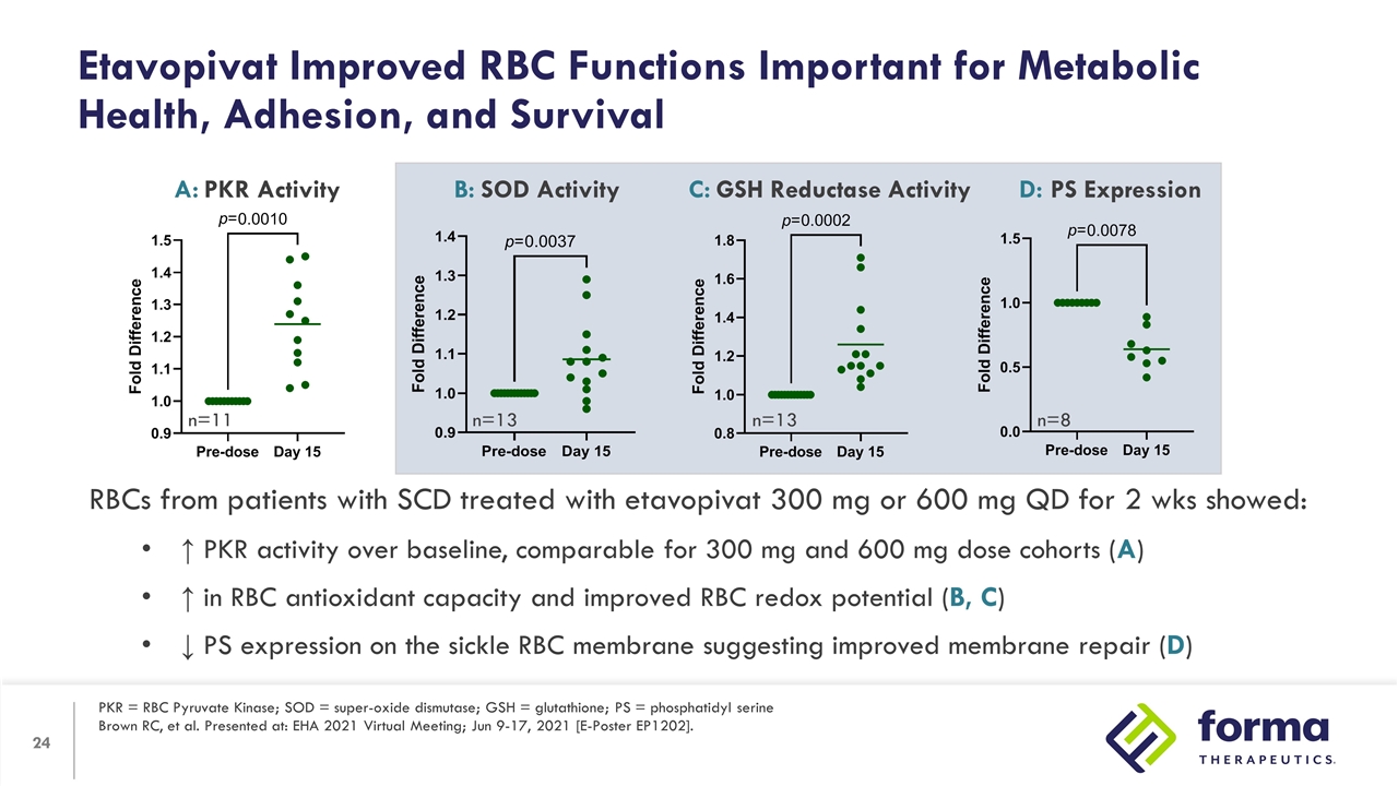 Slide 24