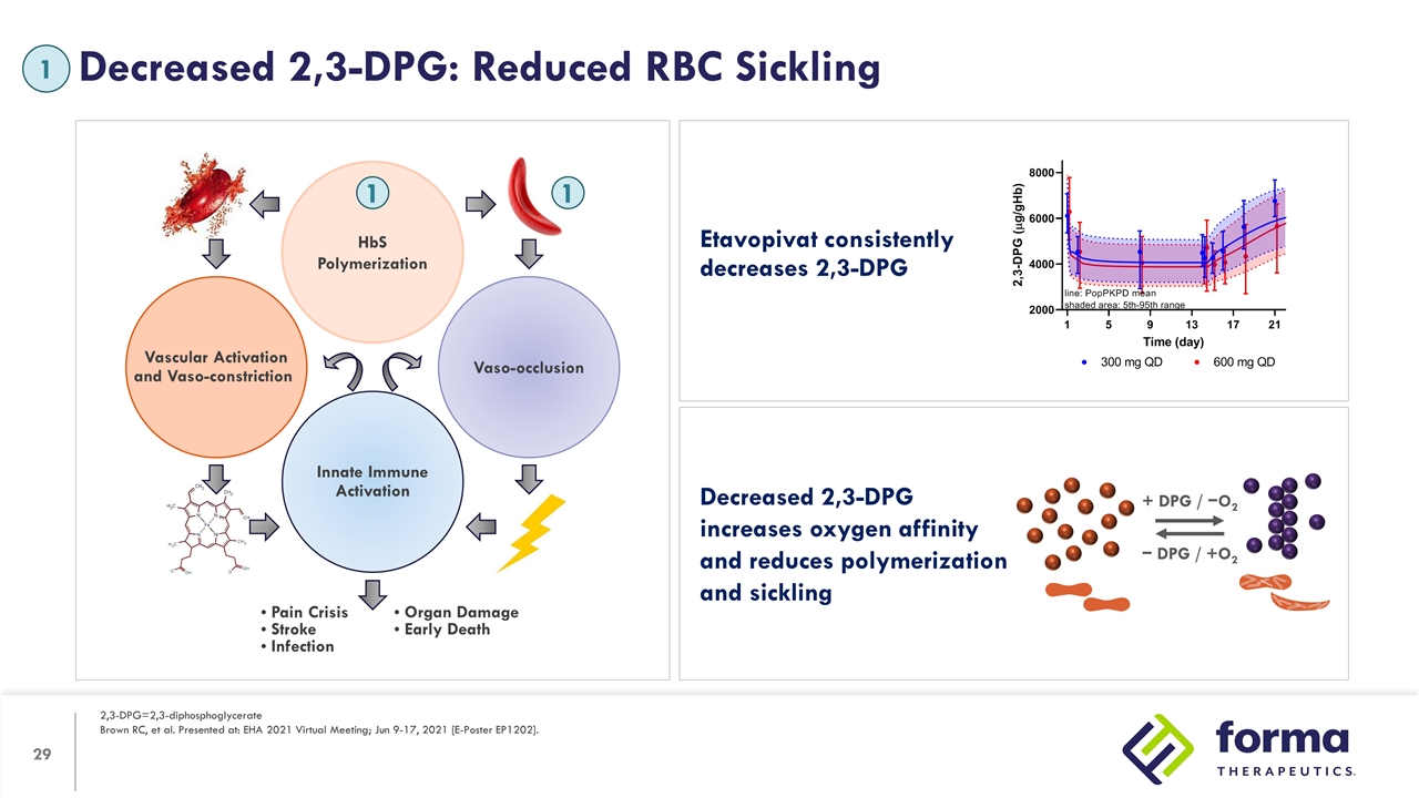 Slide 29