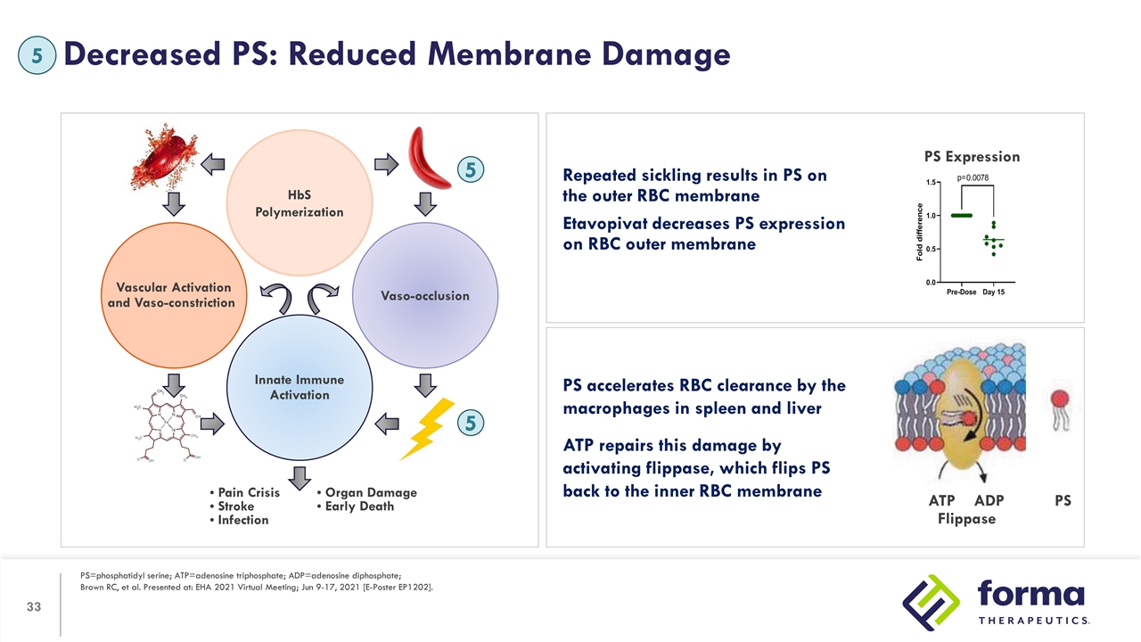 Slide 33