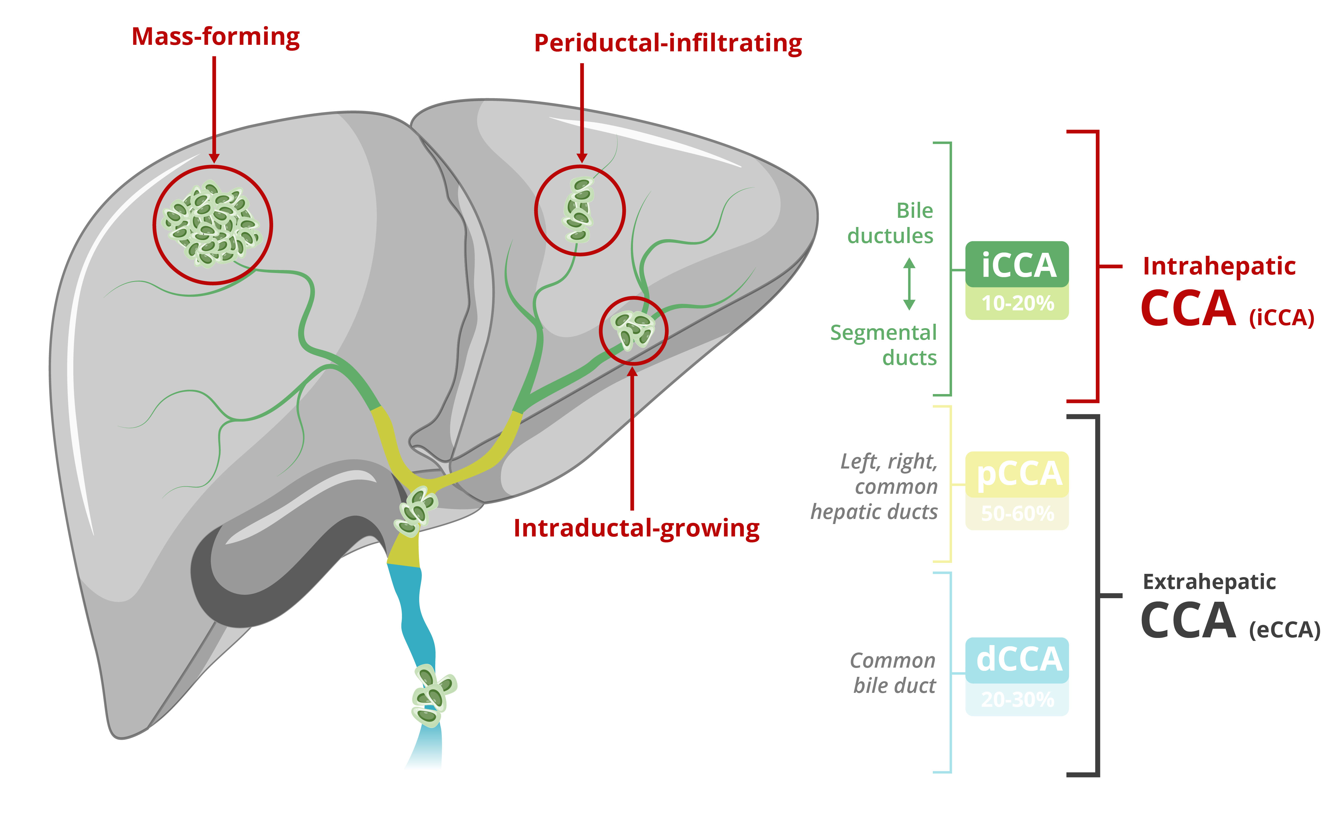 2023.02 GFT Corporate deck - CCA - MoD EN.jpg