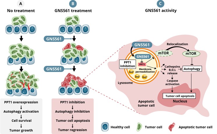 2023.02 GFT Corporate deck - CCA - GNS561.jpg
