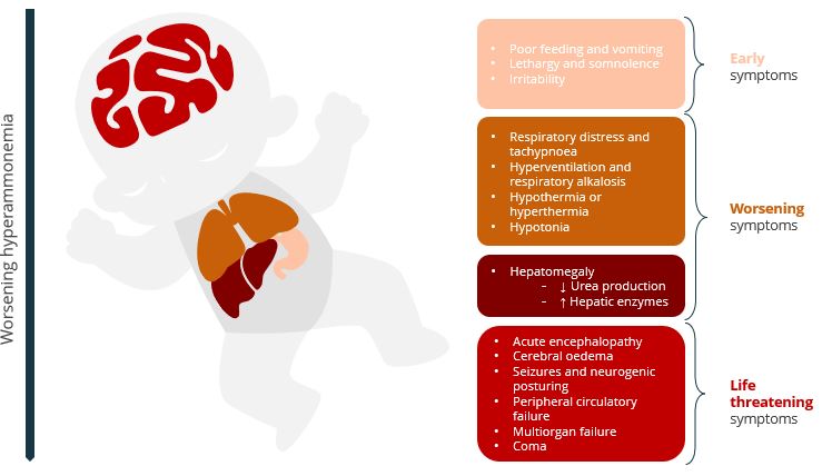 2023.02 GFT Corporate deck - HAC - MoD.jpg