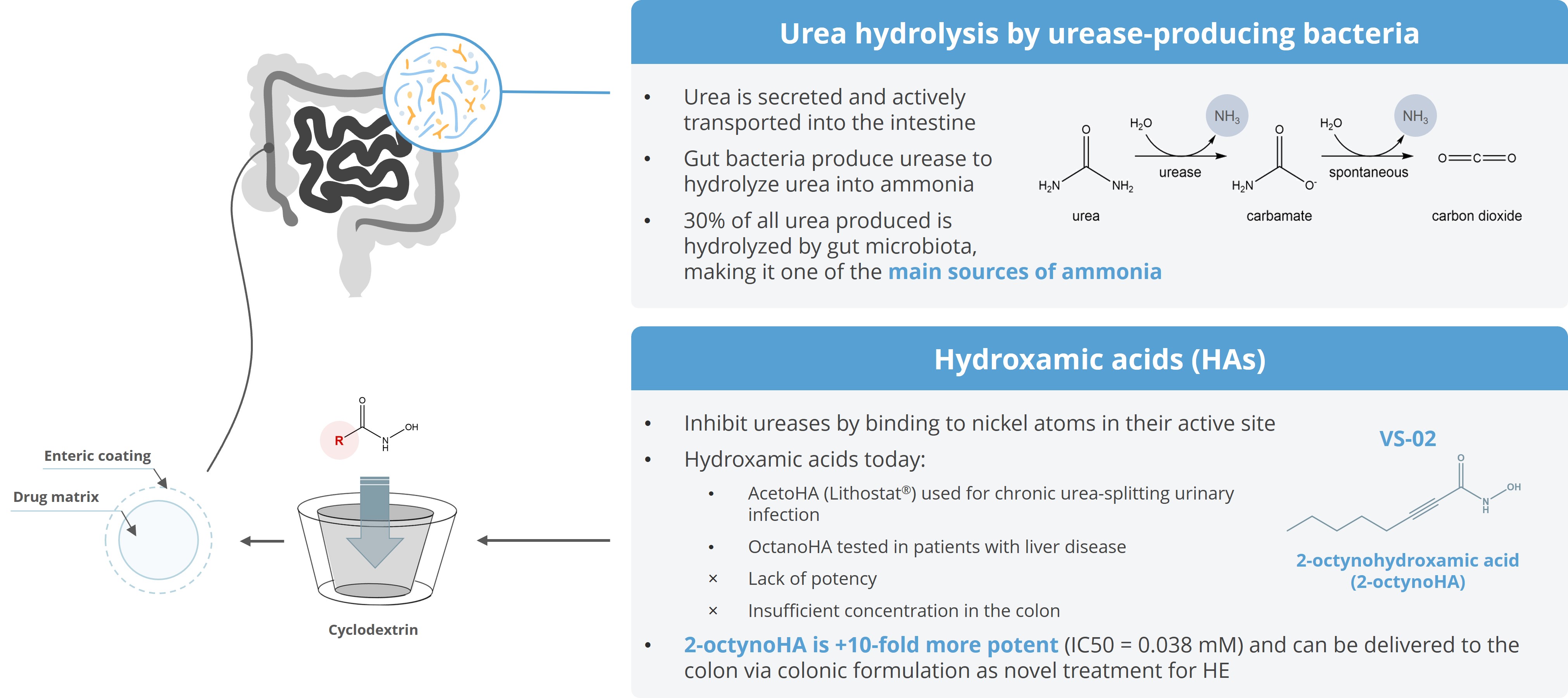 2023.02 GFT Corporate deck - HE - VS02 MoA EN.jpg