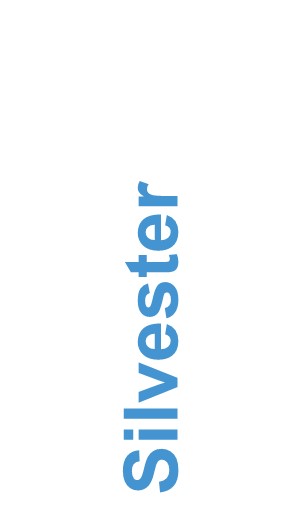 Silvester Name Image.jpg