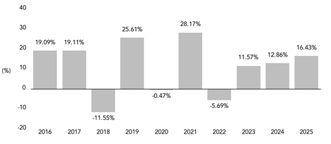PerformanceBarChartData(2016:19.09,2017:19.11,2018:-11.55,2019:25.61,2020:-0.47,2021:28.17,2022:-5.69,2023:11.57,2024:12.86,2025:16.43)