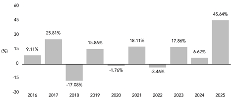 PerformanceBarChartData(2016:9.11,2017:25.81,2018:-17.08,2019:15.86,2020:-1.76,2021:18.11,2022:-3.46,2023:17.86,2024:6.62,2025:45.64)