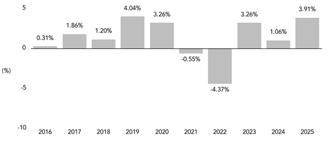 PerformanceBarChartData(2016:0.31,2017:1.86,2018:1.2,2019:4.04,2020:3.26,2021:-0.55,2022:-4.37,2023:3.26,2024:1.06,2025:3.91)