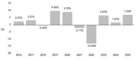 PerformanceBarChartData(2016:2.57,2017:3.37,2018:-0.24,2019:9.96,2020:9.19,2021:-2.11,2022:-12.92,2023:6.83,2024:1.81,2025:7.22)
