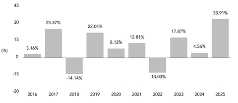 PerformanceBarChartData(2016:3.16,2017:25.37,2018:-14.14,2019:22.04,2020:8.12,2021:12.81,2022:-13.03,2023:17.87,2024:4.56,2025:33.91)