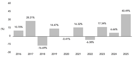 PerformanceBarChartData(2016:10.7,2017:28.21,2018:-16.69,2019:14.47,2020:-0.41,2021:16.32,2022:-6.38,2023:17.34,2024:6.66,2025:40.49)
