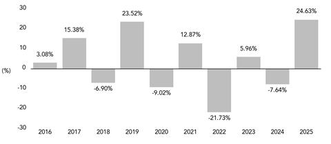 PerformanceBarChartData(2016:3.08,2017:15.38,2018:-6.9,2019:23.52,2020:-9.02,2021:12.87,2022:-21.73,2023:5.96,2024:-7.64,2025:24.63)