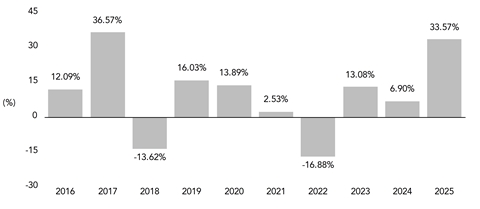 PerformanceBarChartData(2016:12.09,2017:36.57,2018:-13.62,2019:16.03,2020:13.89,2021:2.53,2022:-16.88,2023:13.08,2024:6.9,2025:33.57)