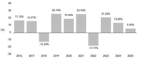PerformanceBarChartData(2016:17.13,2017:16.21,2018:-12.34,2019:26.16,2020:19.34,2021:25.93,2022:-17.77,2023:21.24,2024:13.85,2025:5.95)