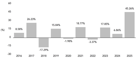 PerformanceBarChartData(2016:8.58,2017:26.23,2018:-17.29,2019:15.84,2020:-1.98,2021:18.77,2022:-3.37,2023:17.85,2024:6.86,2025:45.26)