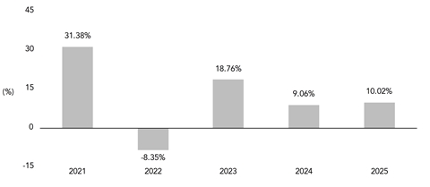 PerformanceBarChartData(2021:31.38,2022:-8.35,2023:18.76,2024:9.06,2025:10.02)