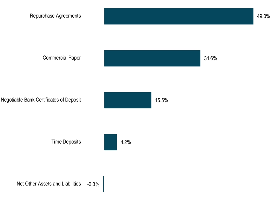 Graphical Representation - Top N Holdings Chart