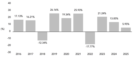 PerformanceBarChartData(2016:17.13,2017:16.21,2018:-12.34,2019:26.16,2020:19.34,2021:25.93,2022:-17.77,2023:21.24,2024:13.85,2025:5.95)