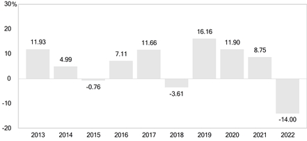 PerformanceBarChartData(2013:11.93,2014:4.99,2015:-0.76,2016:7.11,2017:11.66,2018:-3.61,2019:16.16,2020:11.9,2021:8.75,2022:-14)