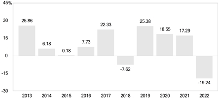 PerformanceBarChartData(2013:25.86,2014:6.18,2015:0.18,2016:7.73,2017:22.33,2018:-7.62,2019:25.38,2020:18.55,2021:17.29,2022:-19.24)