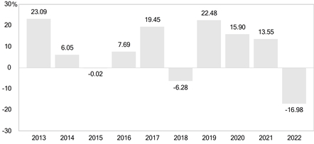 PerformanceBarChartData(2013:23.09,2014:6.05,2015:-0.02,2016:7.69,2017:19.45,2018:-6.28,2019:22.48,2020:15.9,2021:13.55,2022:-16.98)