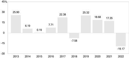 PerformanceBarChartData(2013:25.9,2014:6.19,2015:0.19,2016:7.71,2017:22.38,2018:-7.58,2019:25.32,2020:18.68,2021:17.35,2022:-19.17)