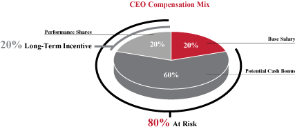 CEO Comp Mix.jpg