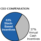 (CEO COMP PIE)