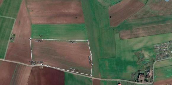 A picture containing green, woodenDescription automatically generated