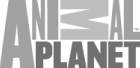 Animal Planet Logo)