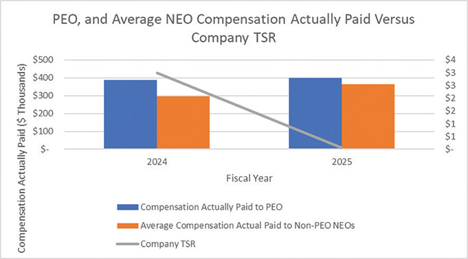 [MISSING IMAGE: bc_companytsr-4clr.jpg]