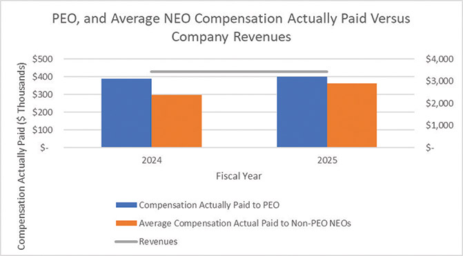 [MISSING IMAGE: bc_revenues-4clr.jpg]