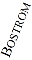 Bostrom2.jpg