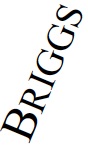 Briggs2.jpg