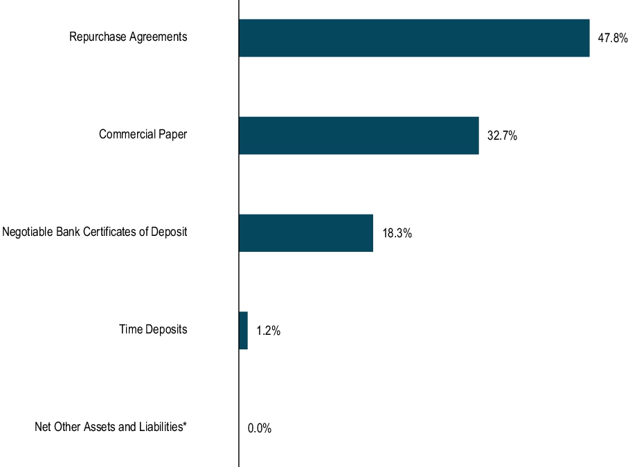 Graphical Representation - Top N Holdings Chart