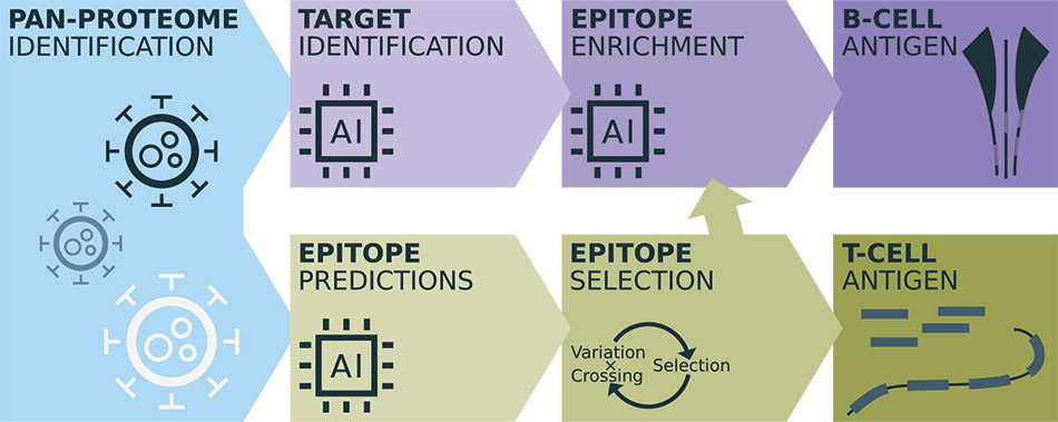 [MISSING IMAGE: fc_identification-4c.jpg]