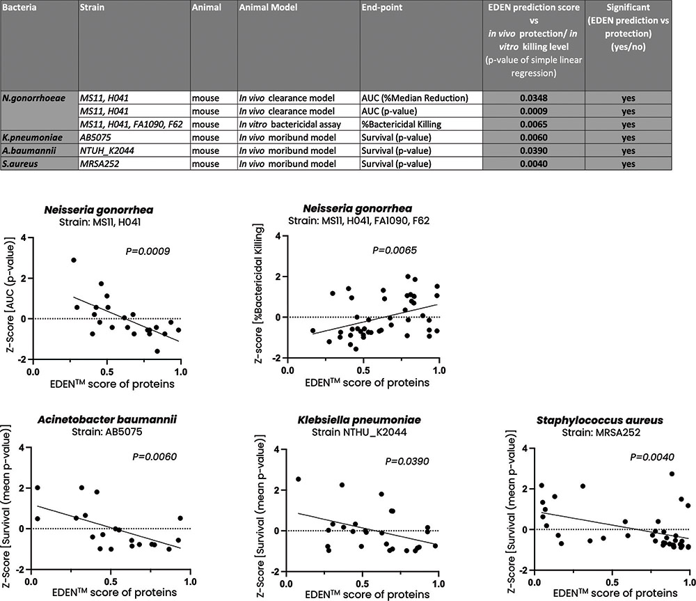 [MISSING IMAGE: lc_bacteria-4c.jpg]