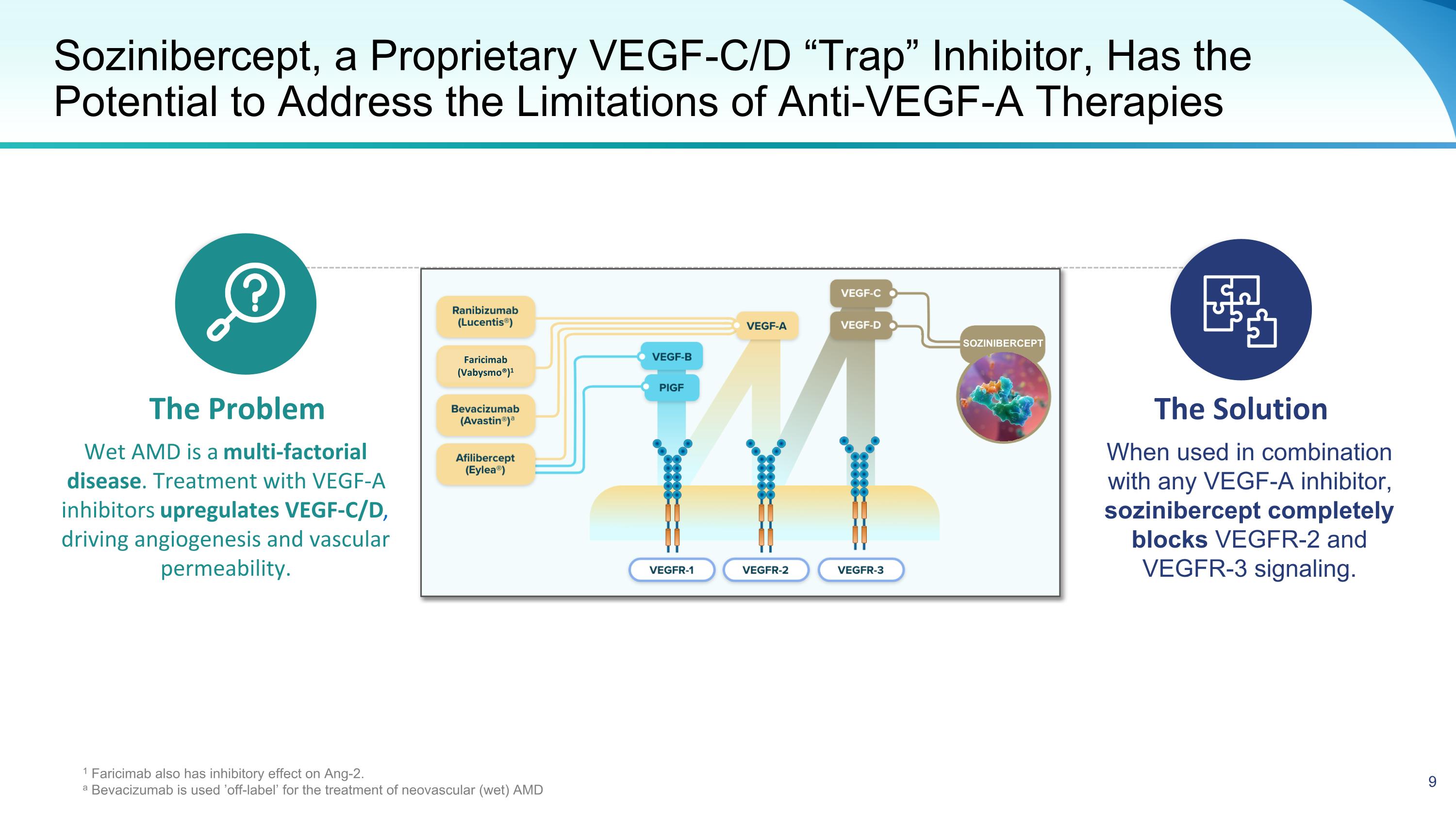 Slide 9