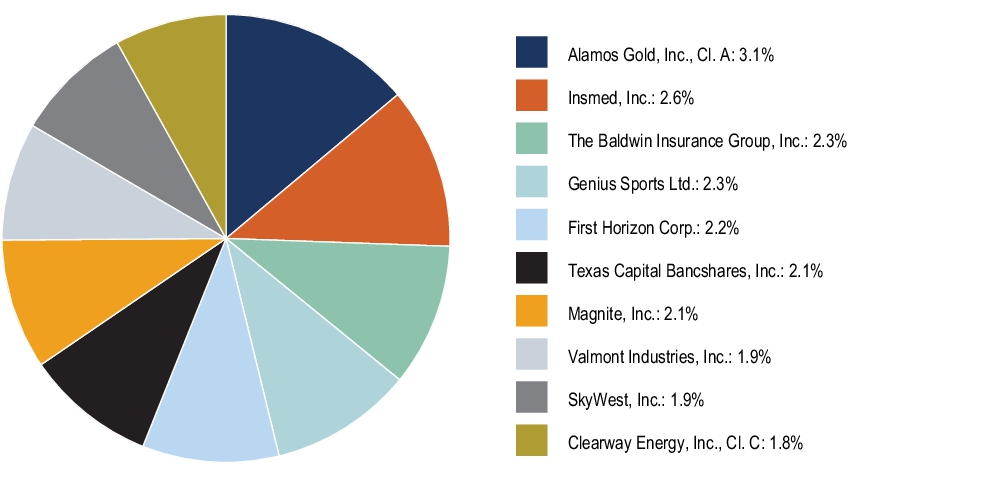 Graphical Representation - Top N Holdings Chart