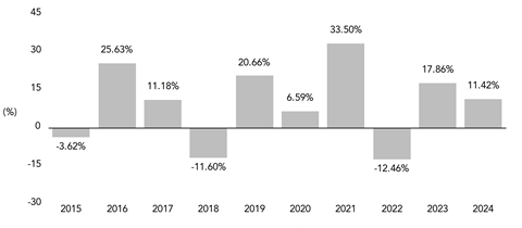 PerformanceBarChartData(2015:-3.62,2016:25.63,2017:11.18,2018:-11.6,2019:20.66,2020:6.59,2021:33.5,2022:-12.46,2023:17.86,2024:11.42)