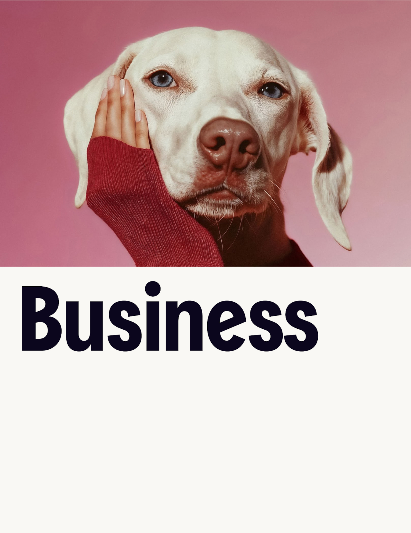 businesscover1a.jpg