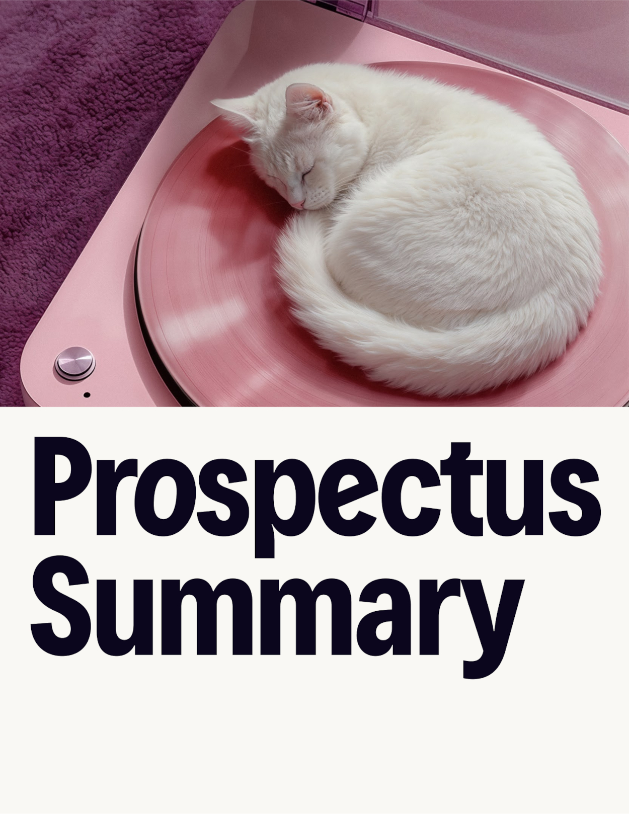 prospectussummaryart1a.jpg