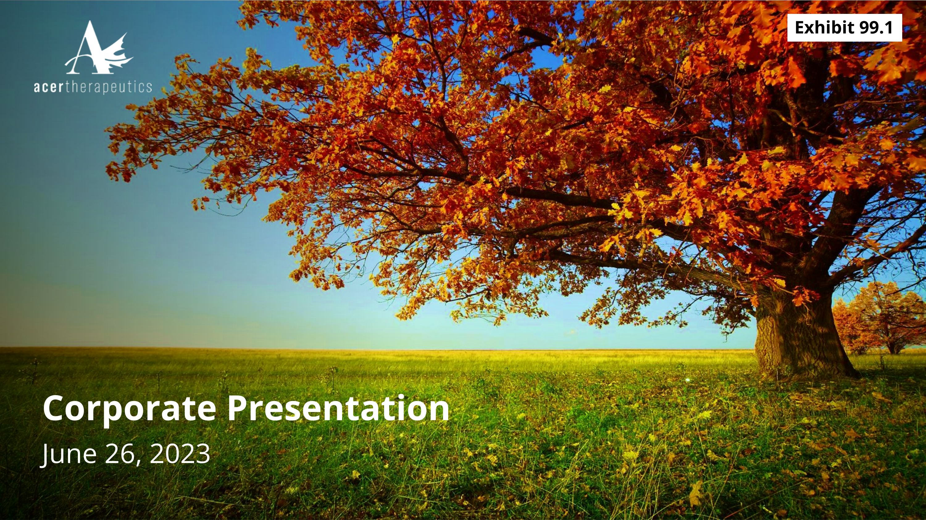 Slide 1