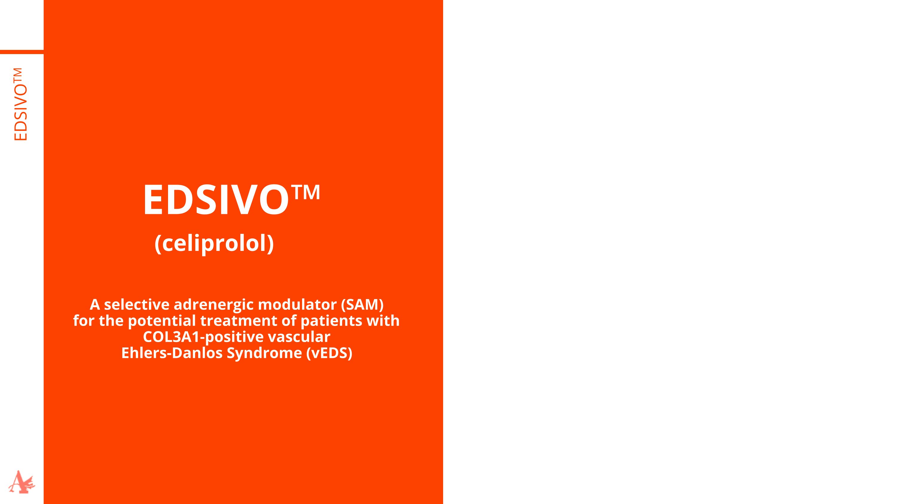Slide 19