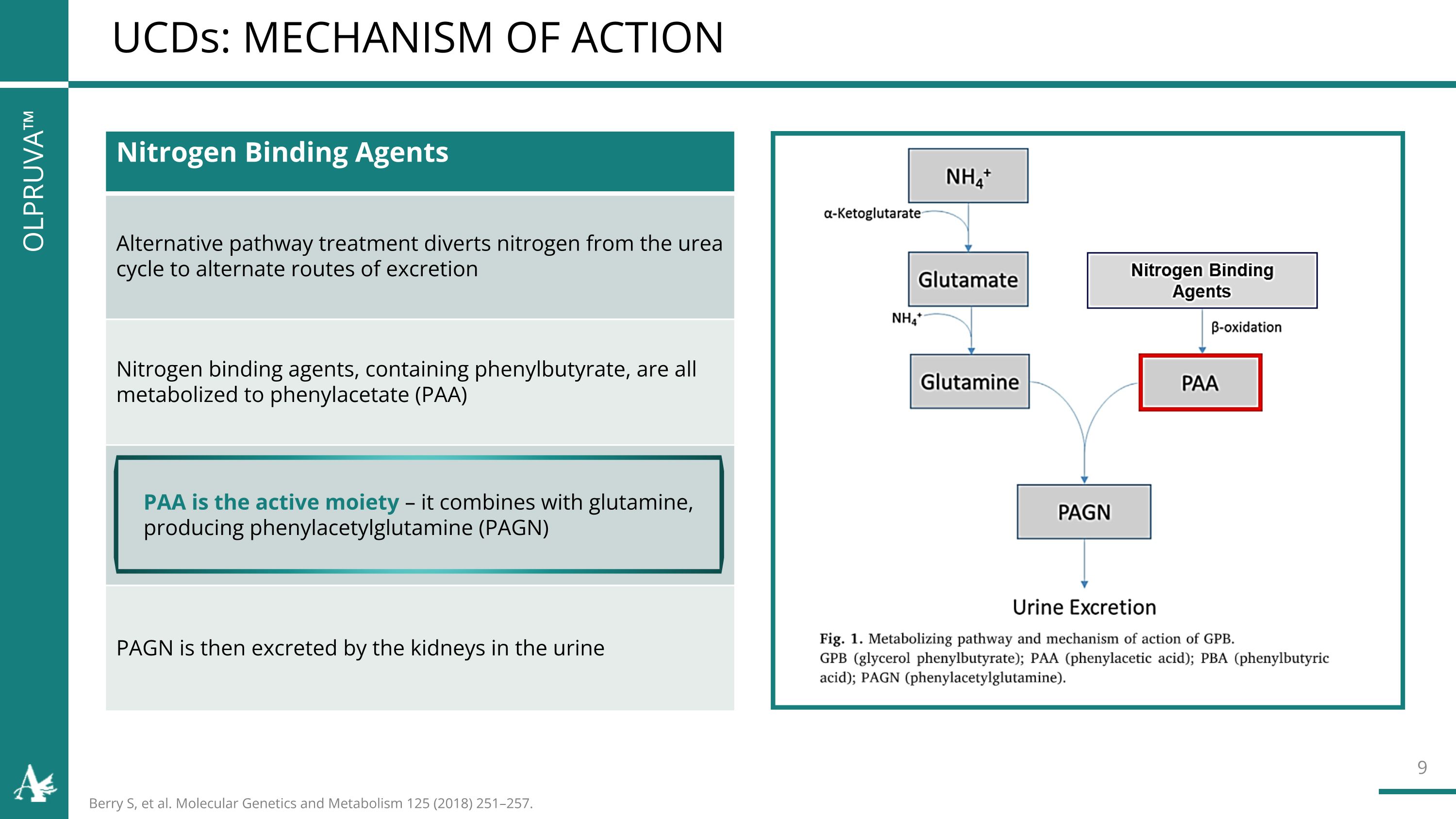 Slide 9