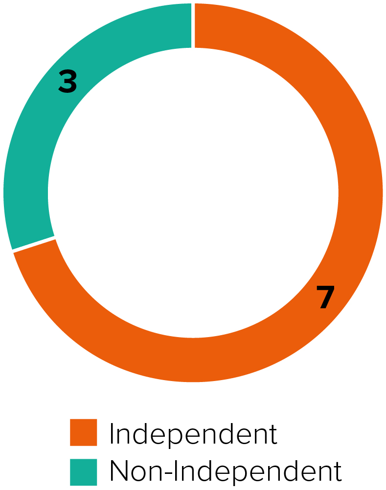pg9-pie_snapshotindependence.jpg