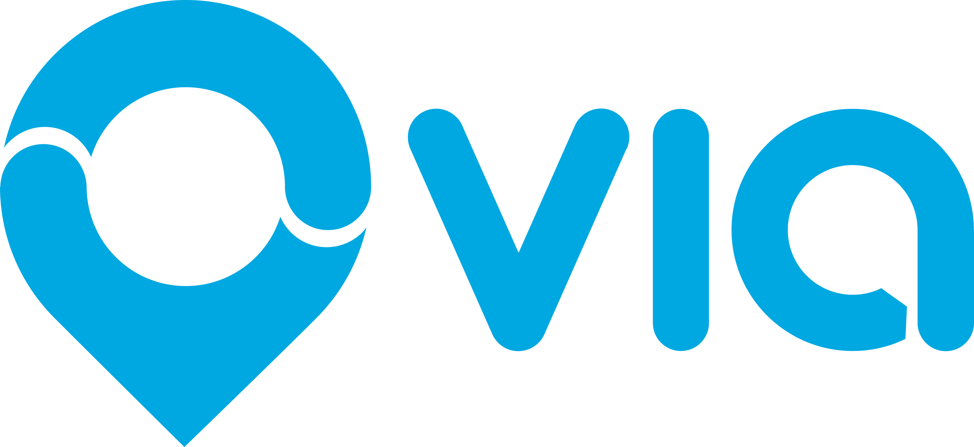 vialogo.jpg