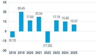 PerformanceBarChartData(2018:-9.13,2019:30.45,2020:17.03,2021:22.54,2022:-17.3,2023:17.19,2024:15.2984325,2025:10.569959)